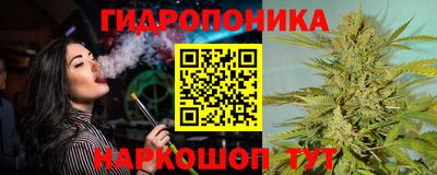 шишки Краснознаменск