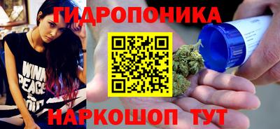 шишки Краснознаменск